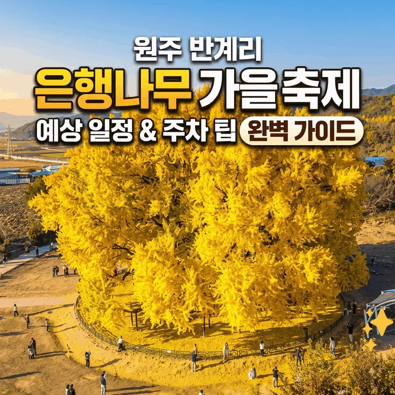 원주 반계리 은행나무 가을 축제 예상 일정과 주차 팁 완벽 정리