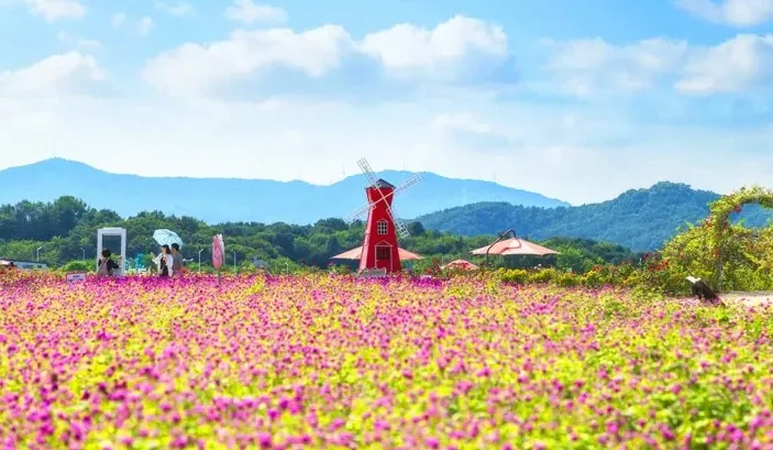 양주나리공원 꽃밭 / 사진=한국관광콘텐츠랩