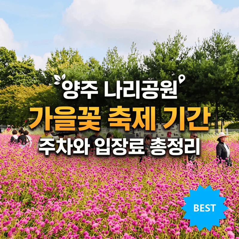 양주 나리공원 가을꽃 축제 기간 주차와 입장료 총정리