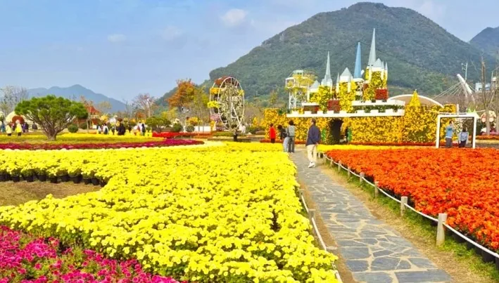 황산공원 양산국화축제 / 사진=양산시 공식 블로그 류혜영