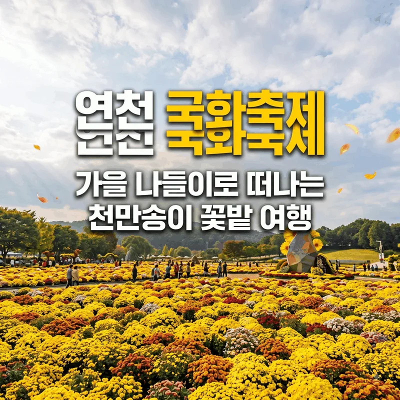 연천 국화축제, 가을 나들이로 떠나는 천만송이 꽃밭 여행