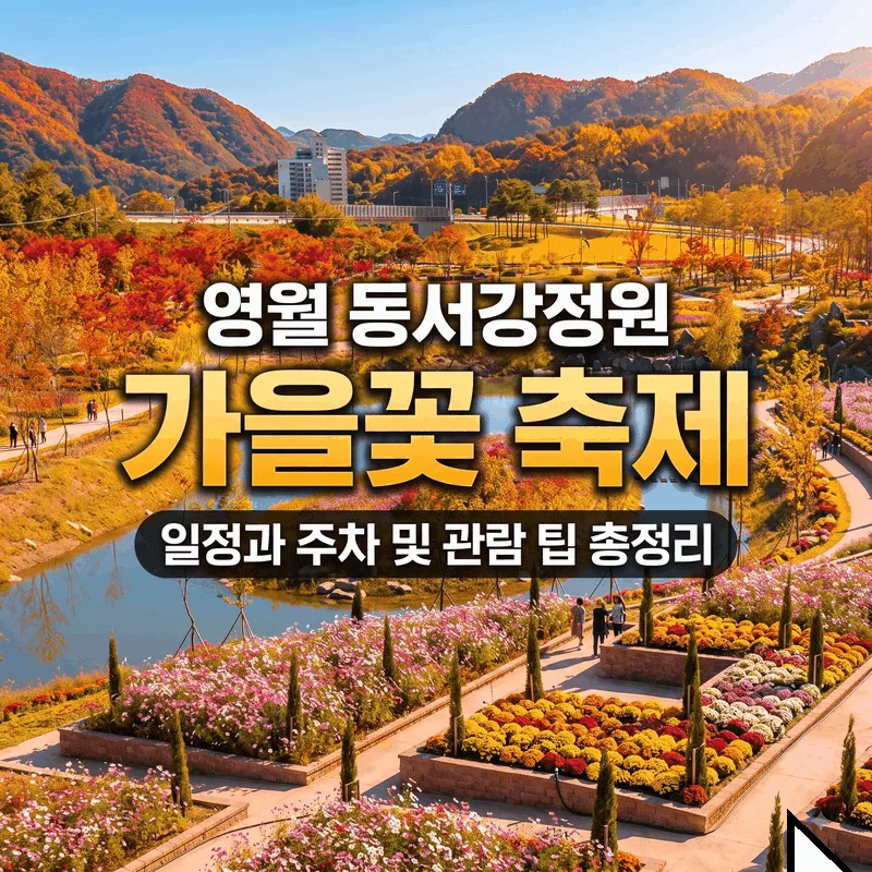 영월 동서강정원 가을꽃 축제 일정과 주차 및 관람 팁 총정리