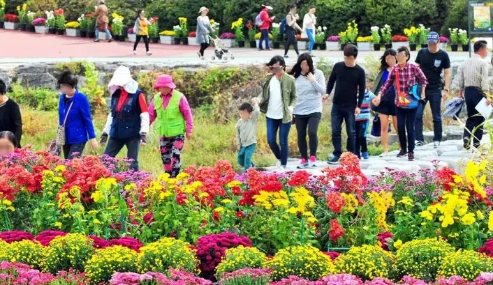 유성국화축제 풍경 / 사진=유성구